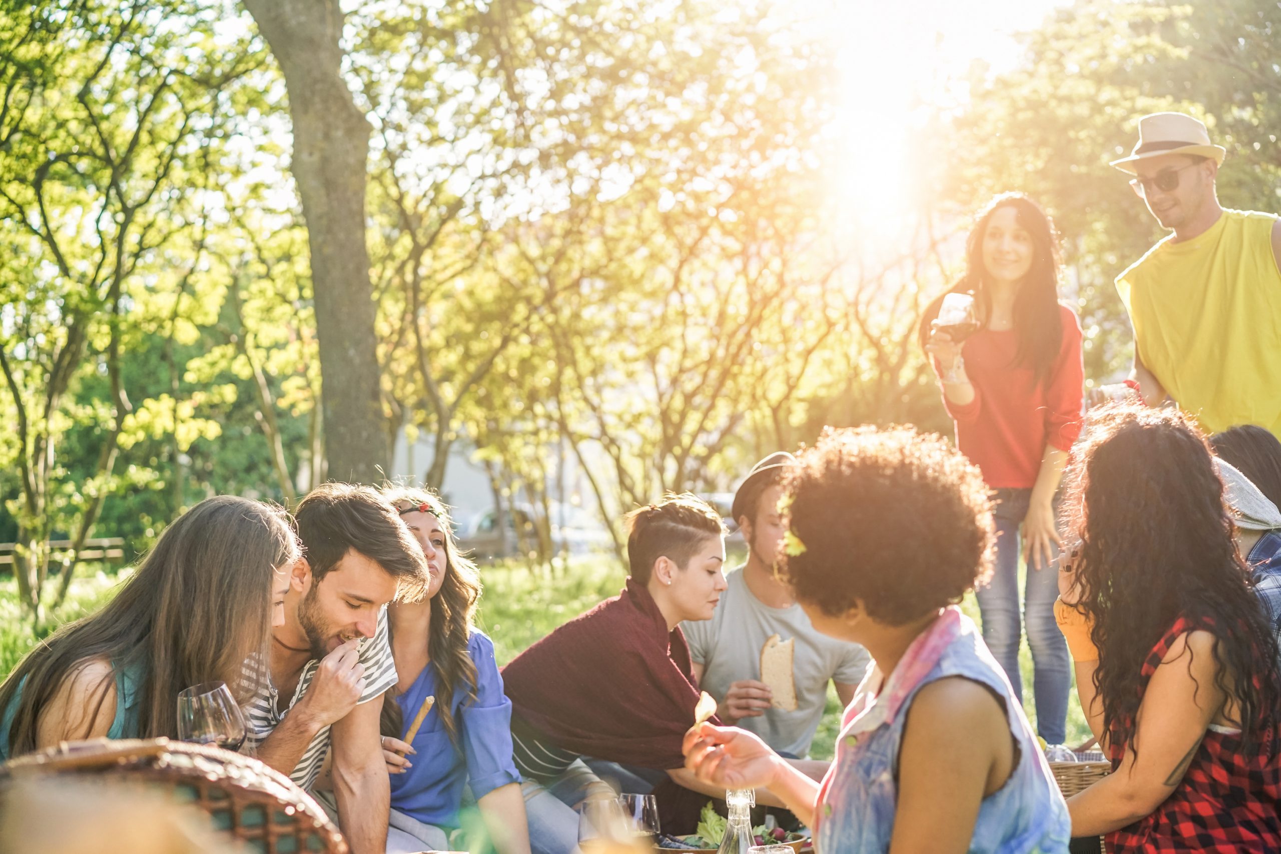 Veganes Wildkräuterpicknick 25. Mai 2025