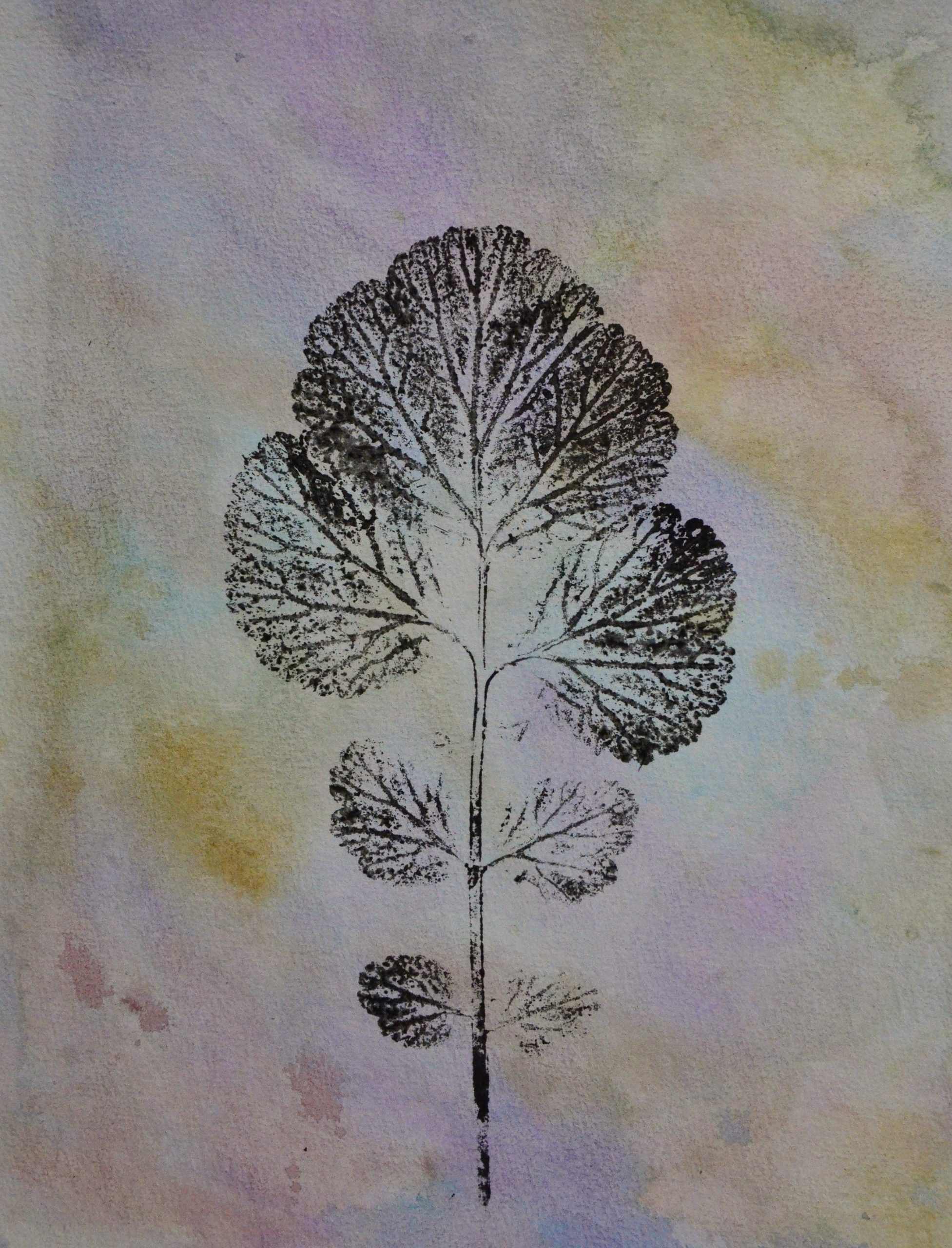 Pflanzendruck & Naturkunst 12. Juli 2026